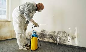 Bald Kno, AR Mold Removal & Remediation Company